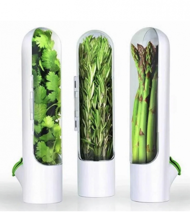 Recipient pentru depozitarea si pastrarea verdeturilor si legumelor proaspete [4]