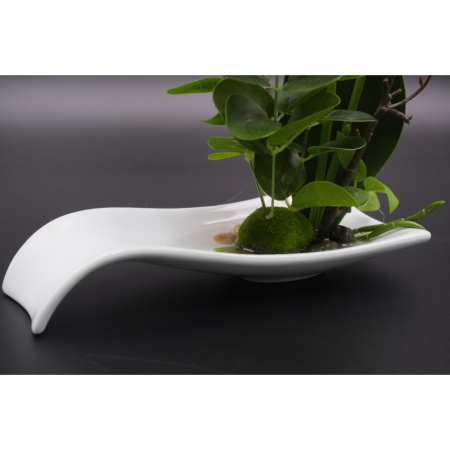 Orhidee decorativa , artificiala, cu farfurie ceramica, 30 cm [4]