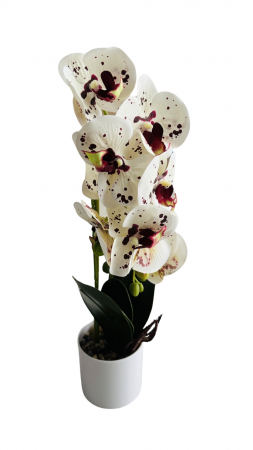 Orhidee decorativa artificiala, in ghiveci plastic [3]