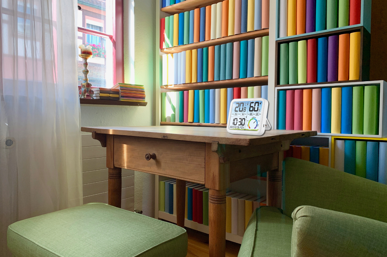 Termometru și Higrometru Maxi Interior, Color [2]