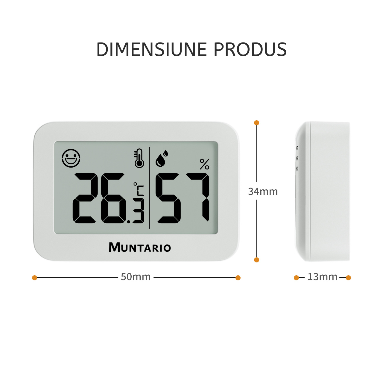 Termometru și Higrometru Mini Interior [11]