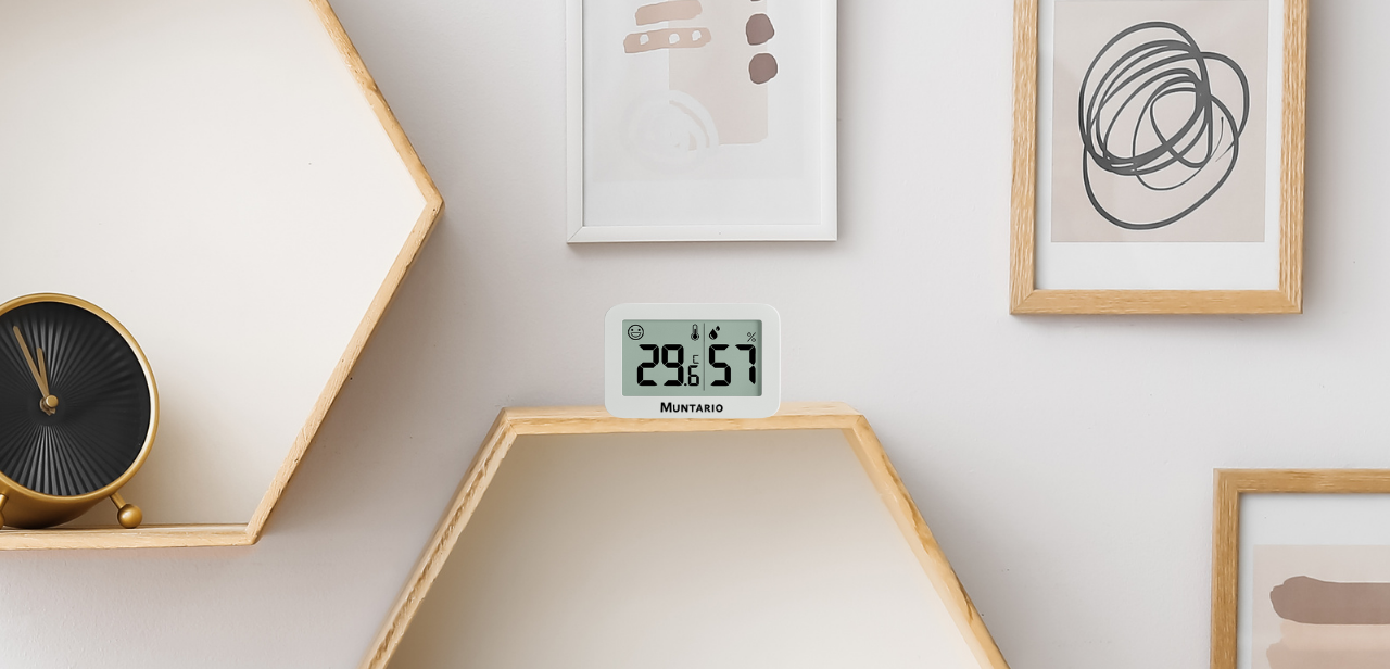 Termometru și Higrometru Mini Interior [13]
