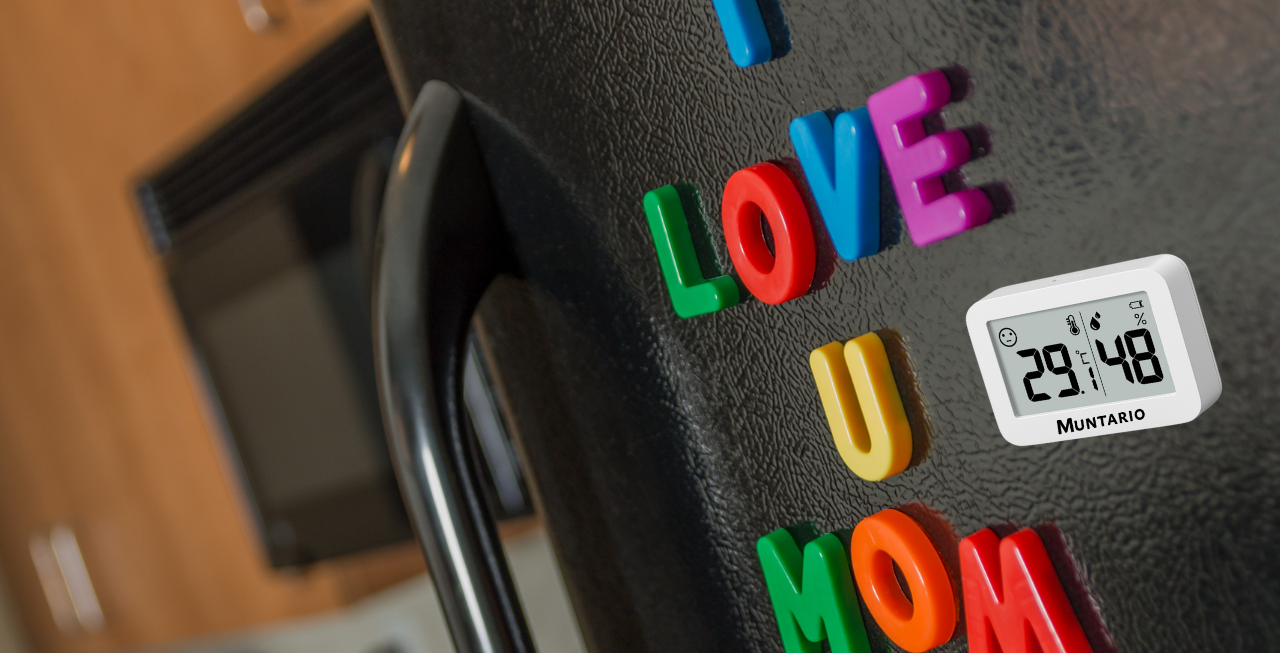 Termometru și Higrometru Mini Interior [12]