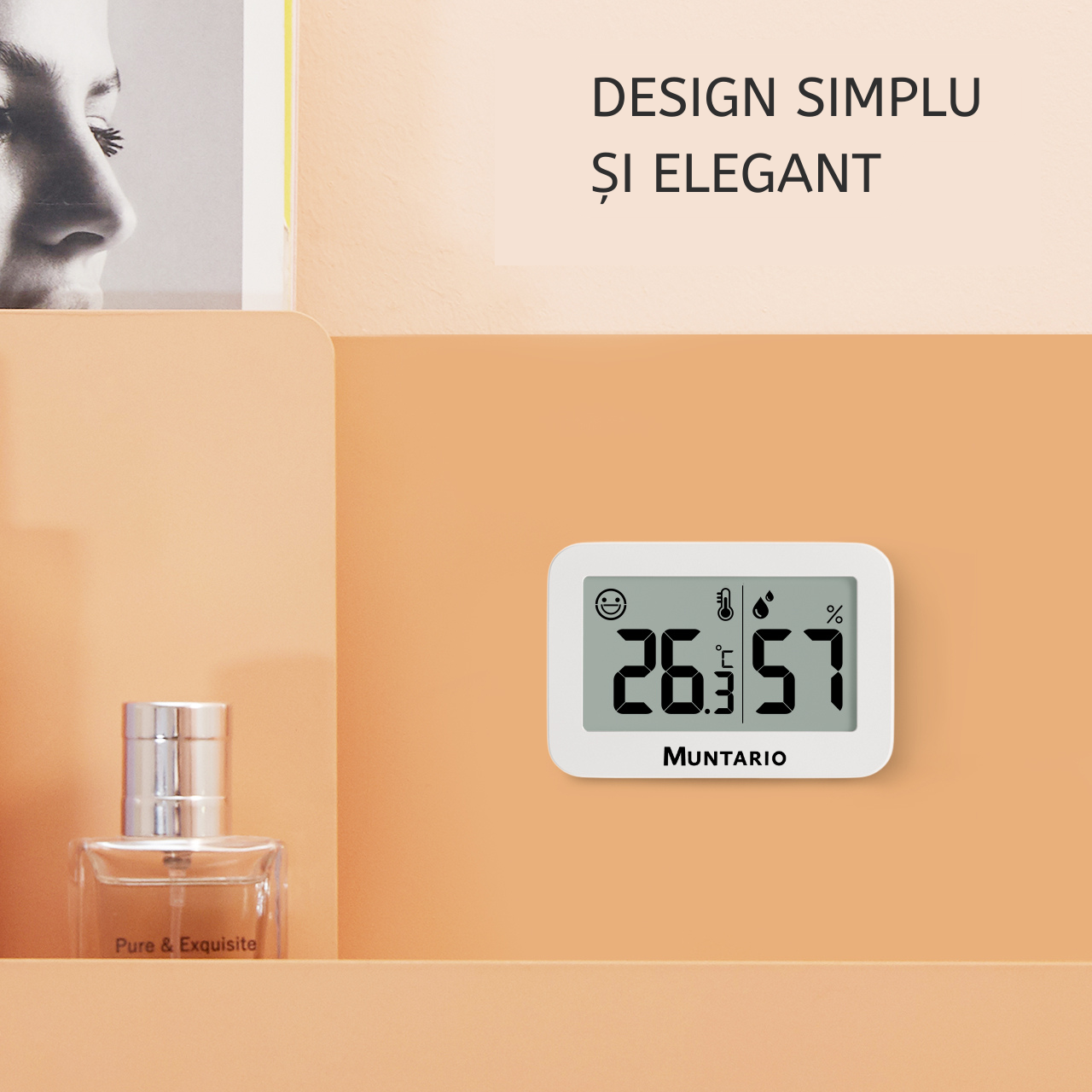 Termometru și Higrometru Mini Interior [6]