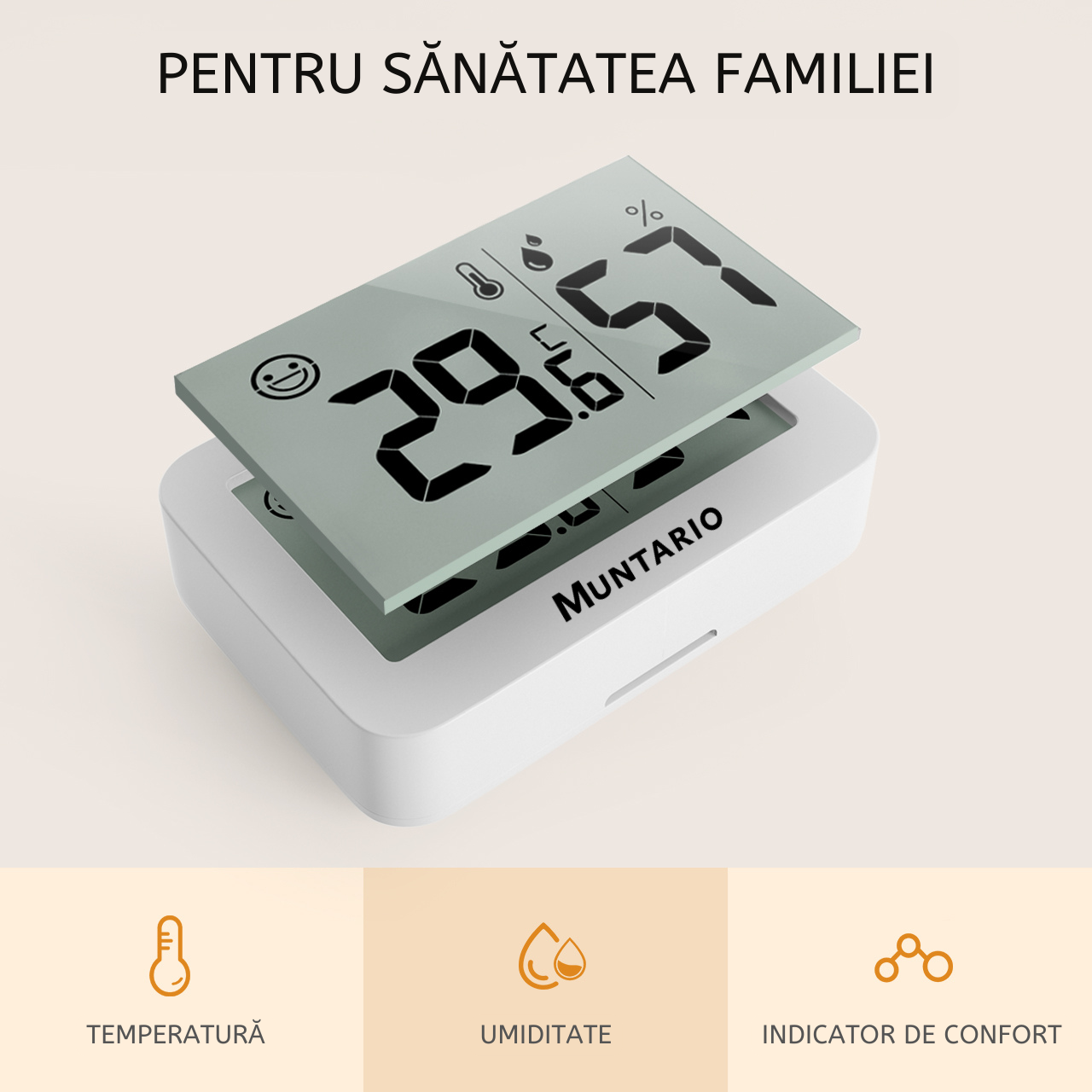 Termometru și Higrometru Mini Interior [10]