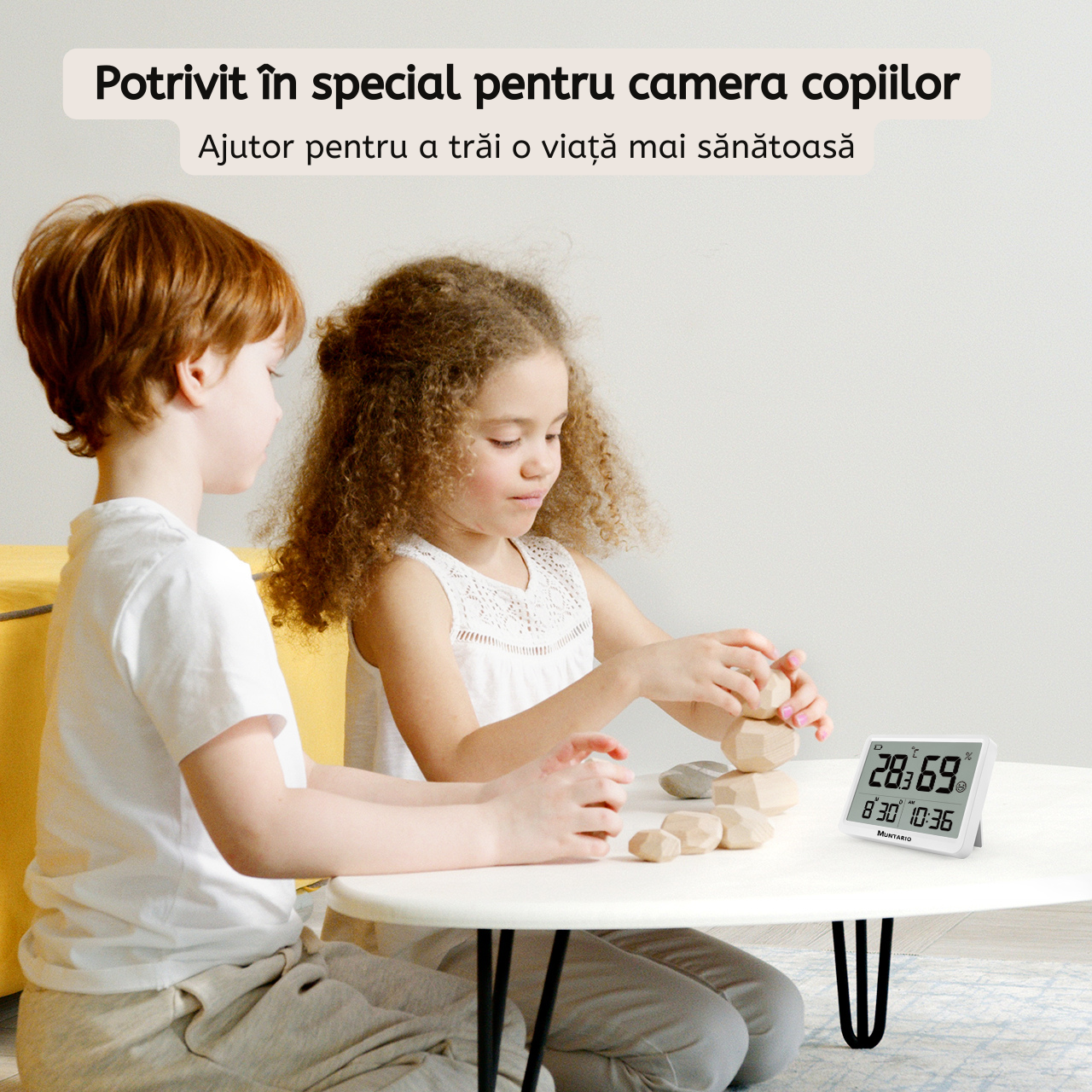 Termometru și Higrometru Standard Interior [5]