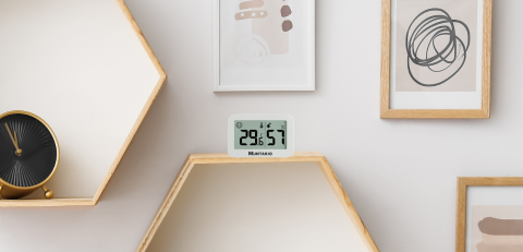 Termometru și Higrometru Mini Interior [12]