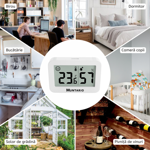 Termometru și Higrometru Mini Interior [7]