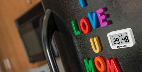 Termometru și Higrometru Mini Interior [11]