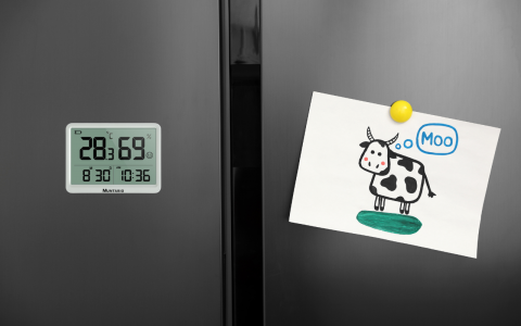 Termometru și Higrometru Standard Interior [8]