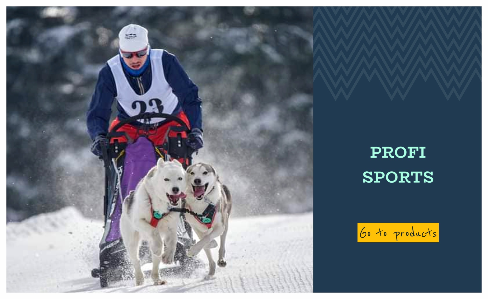 Profi sports