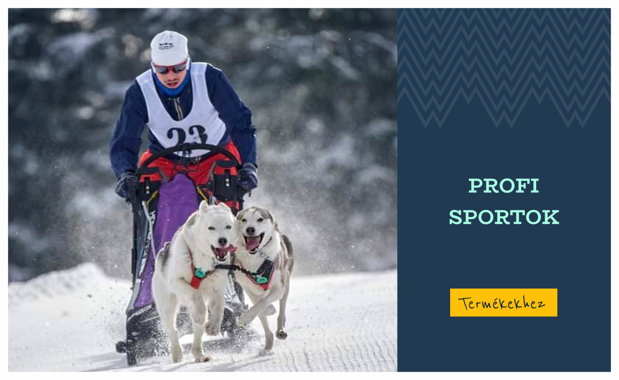 Profi sportok