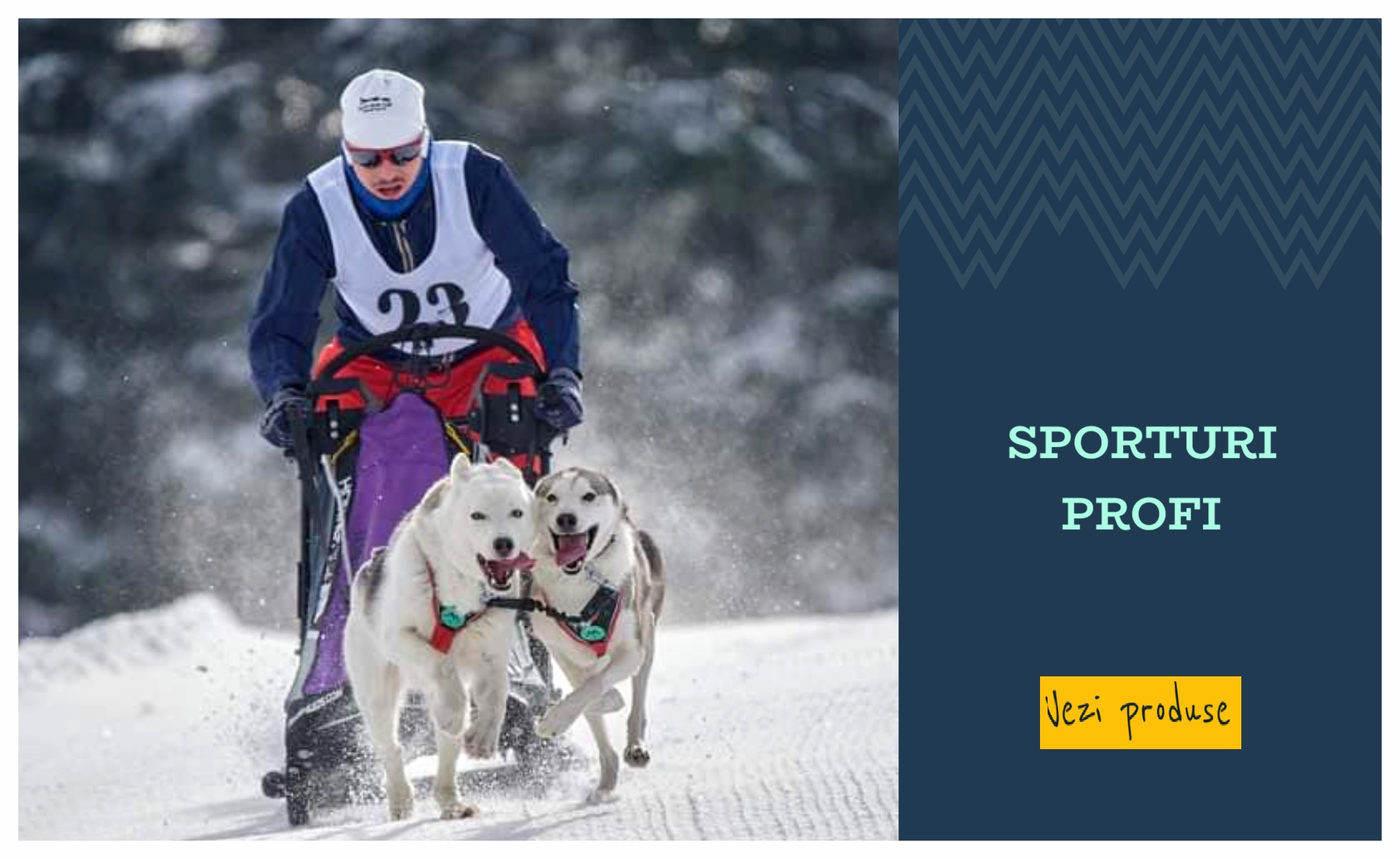 Sporturi profi