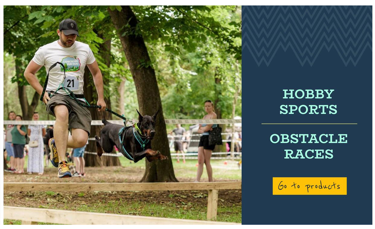 hobby sports