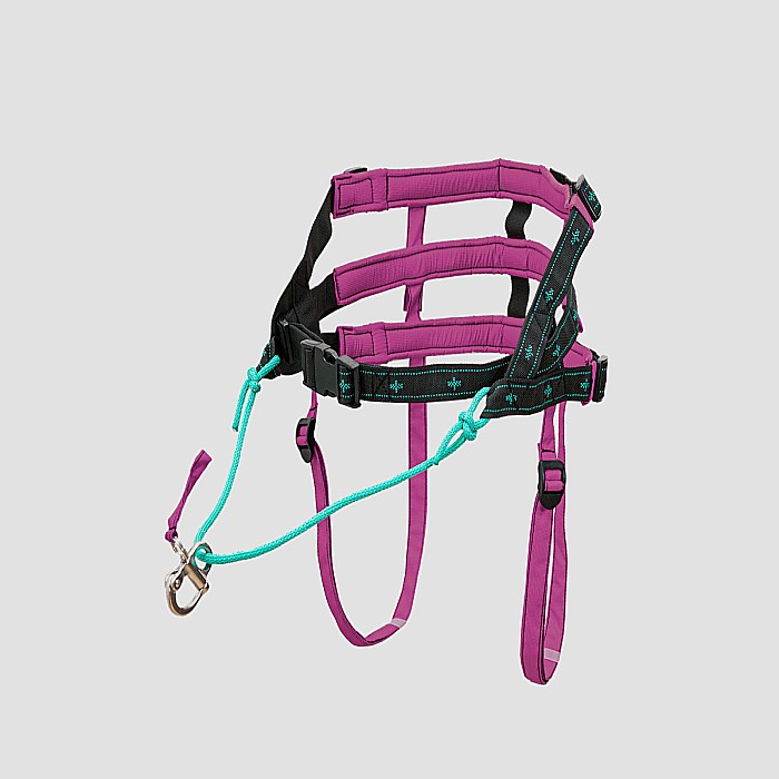 Musher Anvik Belt - Adjustable and Lightweight for Dog Sports [1]