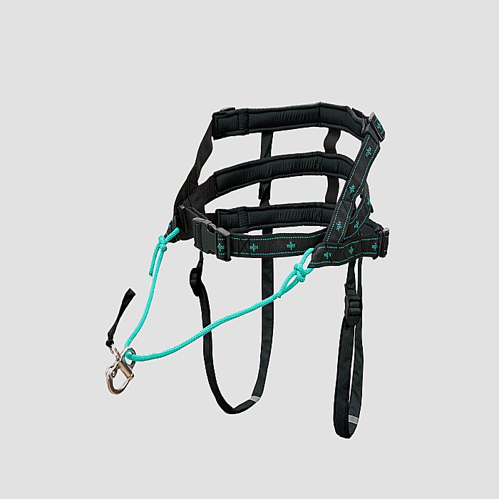 Musher Anvik Belt - Adjustable and Lightweight for Dog Sports [1]