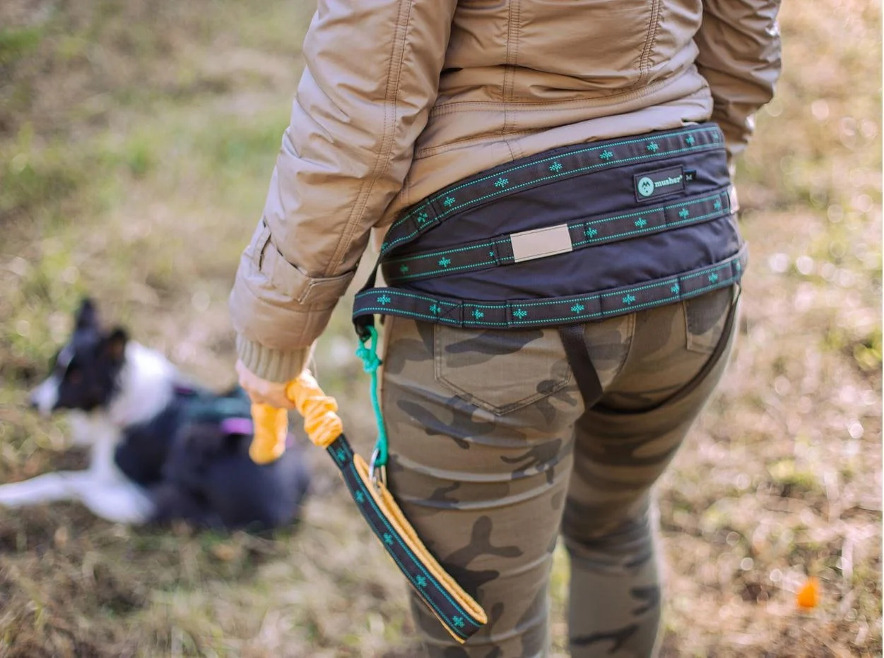Musher Balance öv - állítható és ergonomikus sportöv kutyásoknak [2]