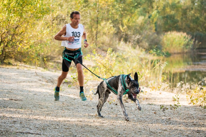 Centură canicross Musher Takotna - ajustabilă și căptușită [2]
