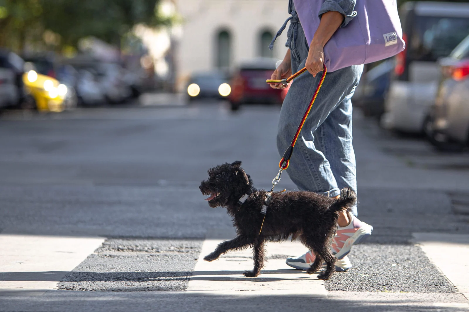 Urbanpaw Compact Póráz - Erős, megbízható városi póráz [4]