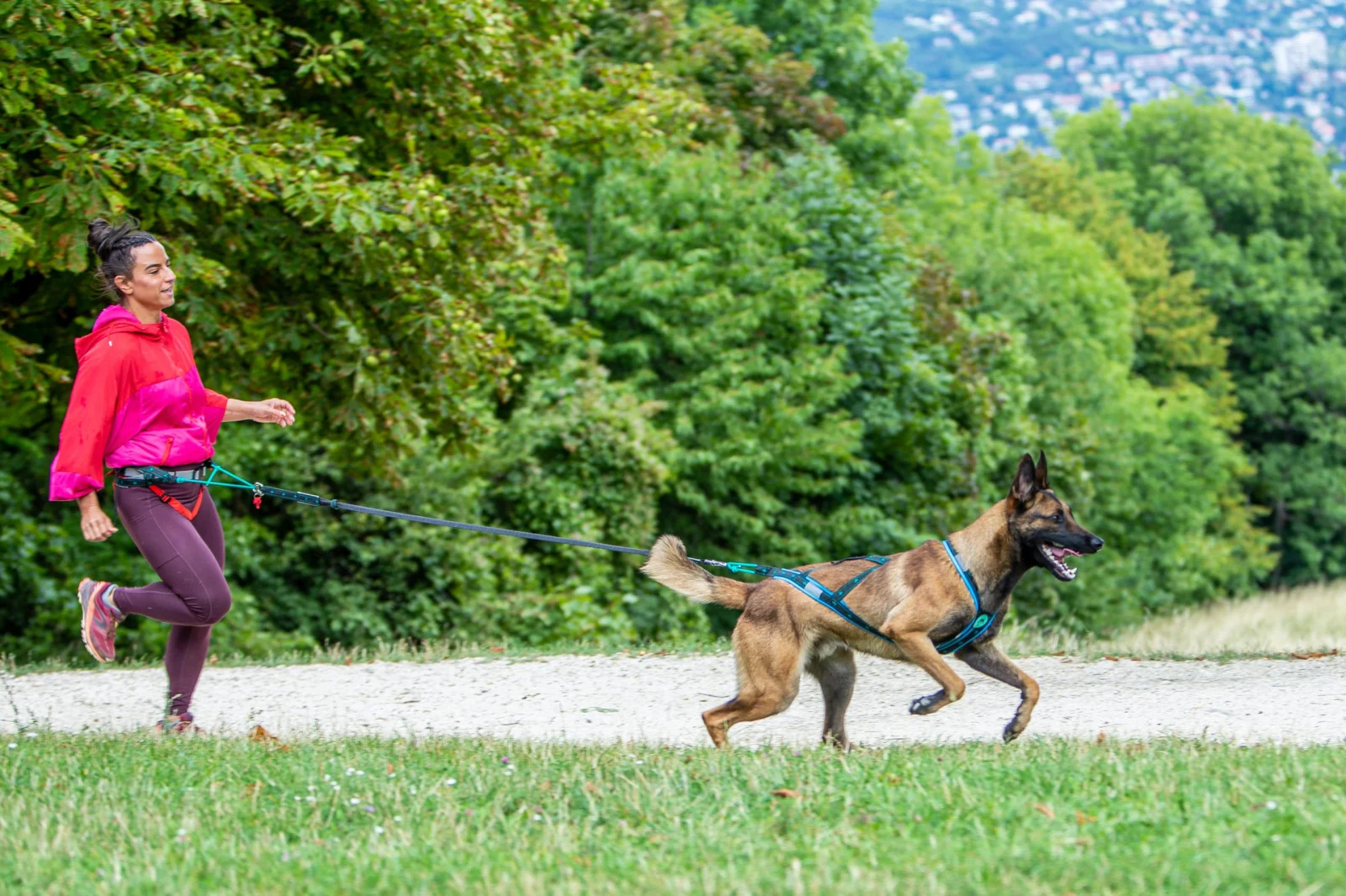 Musher Takotna rugalmas szár - sportpóráz egy kutyához [2]