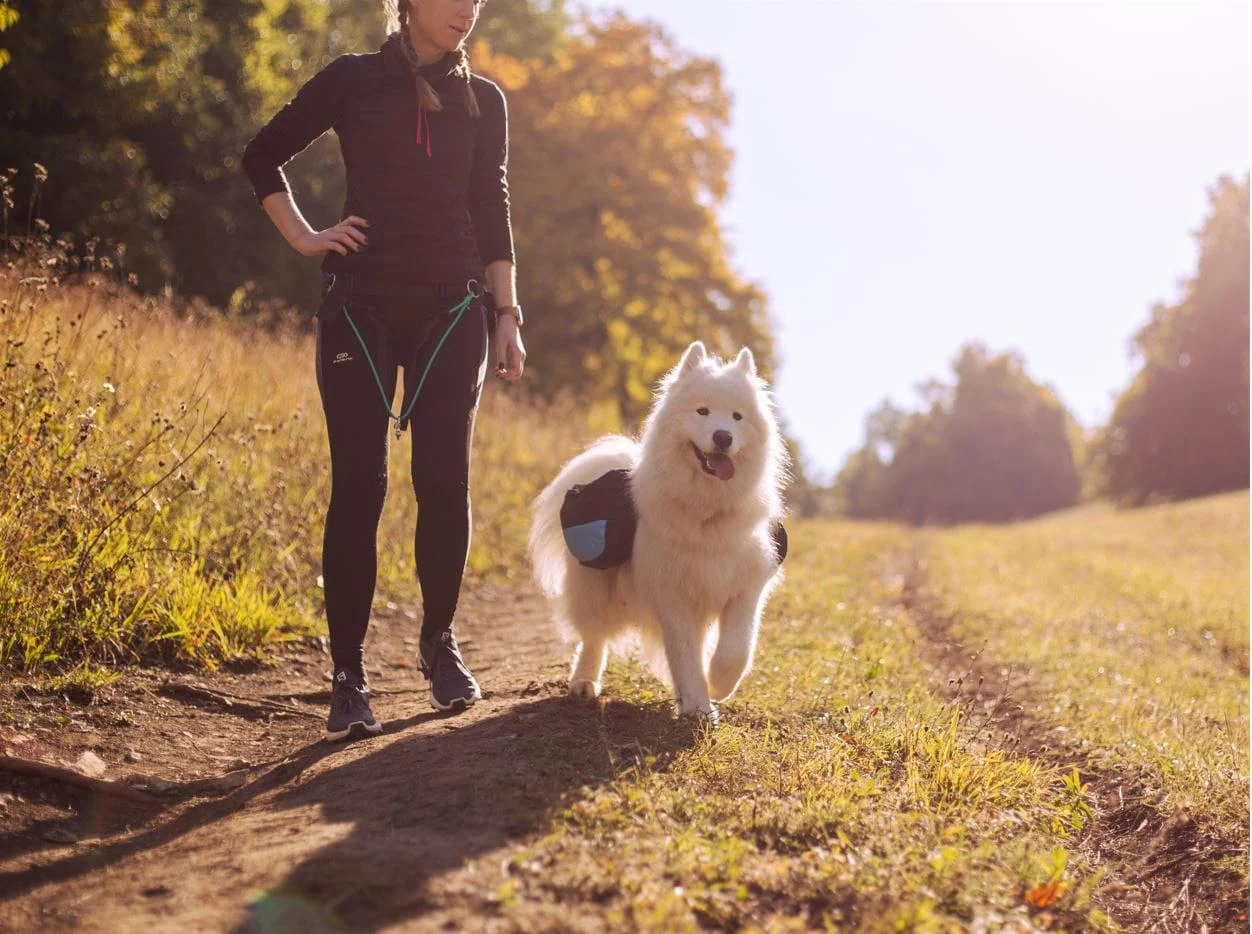 Rucsac petru câine PAWTRAIL - rucsac ergonomic și ușor pentru drumeții [3]
