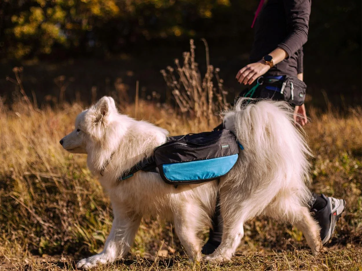 Rucsac petru câine PAWTRAIL - rucsac ergonomic și ușor pentru drumeții [2]