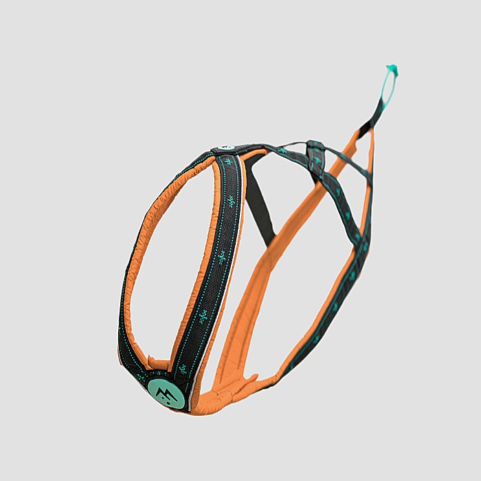 Takotna Harness - Padded X-Back Pulling Harness for active dogs [1]