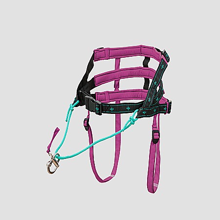belts - Musher Anvik Belt - Adjustable and Lightweight for Dog Sports