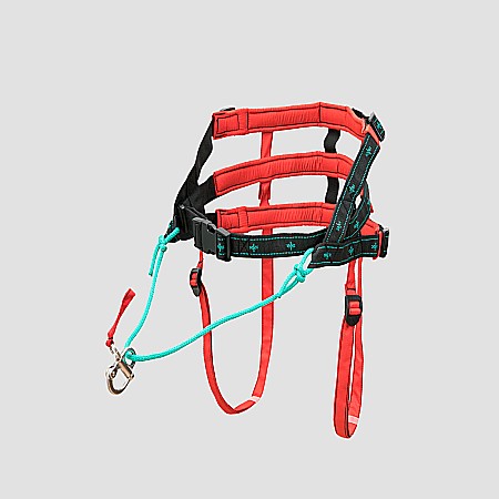 belts - Musher Anvik Belt - Adjustable and Lightweight for Dog Sports