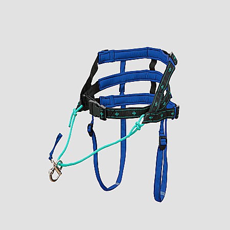 belts - Musher Anvik Belt - Adjustable and Lightweight for Dog Sports