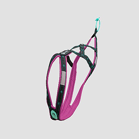 harnesses - Anvik harness - Padded X-back Dog Harness for Pulling Sports