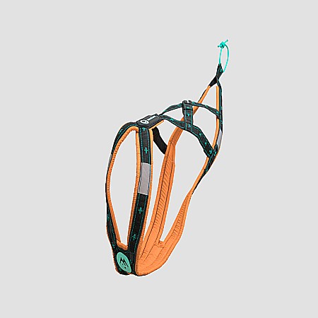 harnesses - Anvik harness - Padded X-back Dog Harness for Pulling Sports