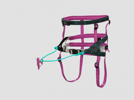 belts - Musher Takotna Canicross Belt - Adjustable and Padded