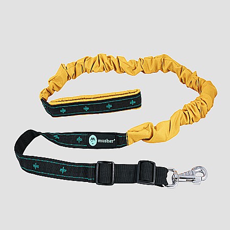 lines - Musher Freespirit - Adjustable Bungee Leash for Hobby Dog Sports