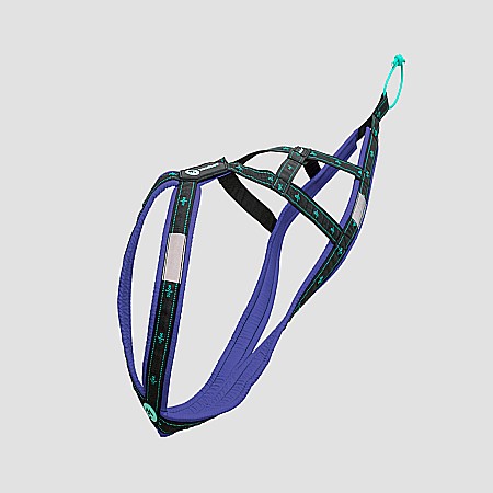 harnesses - Koyuk Harness - Padded pulling harness for active dogs