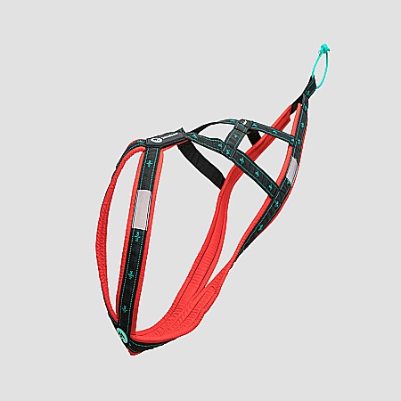 harnesses - Koyuk Harness - Padded pulling harness for active dogs