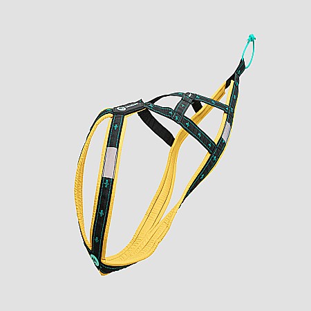 harnesses - Koyuk Harness - Padded pulling harness for active dogs