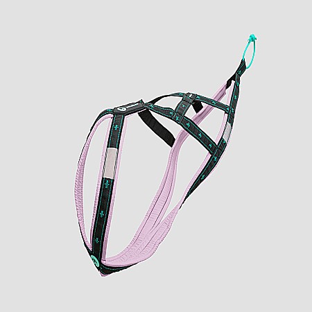 harnesses - Koyuk Harness - Padded pulling harness for active dogs