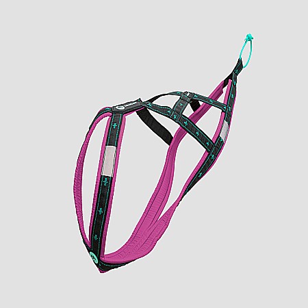 harnesses - Koyuk Harness - Padded pulling harness for active dogs