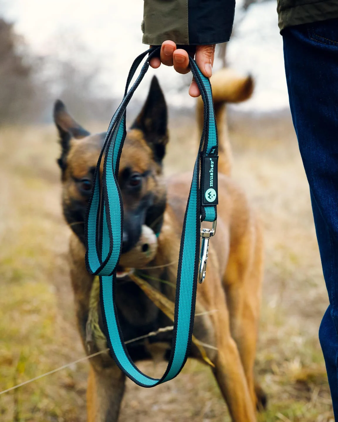 Pawtrail Rubbit - Non-slip Comfortable Dog Walking Leash [1]