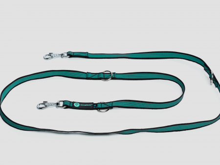 leashes - Pawtrail Rubbit Vario - Adjustable Walking Dog Leash for everyday walks