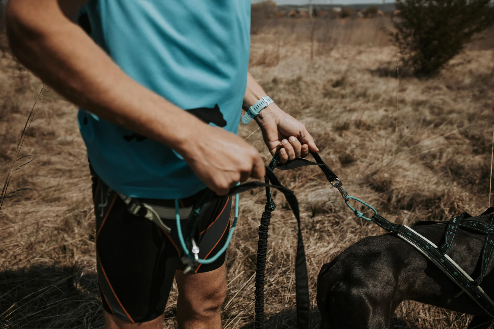 Musher Anvik DT - Bungee Line with dual grip for Dog Sports [1]