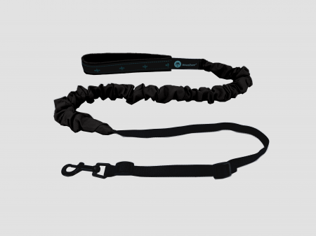 lines - Musher Freespirit Bungee Leash for Small Dogs - Lightweight & Colorful