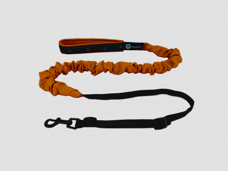 lines - Musher Freespirit Bungee Leash for Small Dogs - Lightweight & Colorful