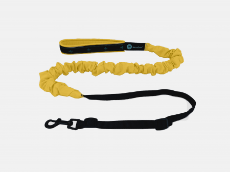 lines - Musher Freespirit Bungee Leash for Small Dogs - Lightweight & Colorful