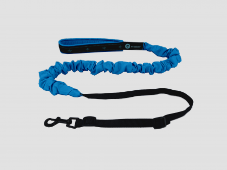 lines - Musher Freespirit Bungee Leash for Small Dogs - Lightweight & Colorful