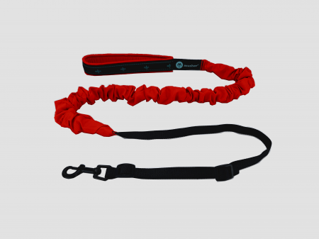 lines - Musher Freespirit Bungee Leash for Small Dogs - Lightweight & Colorful
