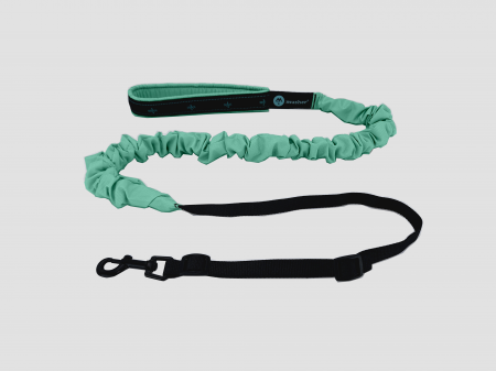 lines - Musher Freespirit Bungee Leash for Small Dogs - Lightweight & Colorful