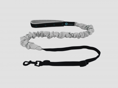lines - Musher Freespirit Bungee Leash for Small Dogs - Lightweight & Colorful