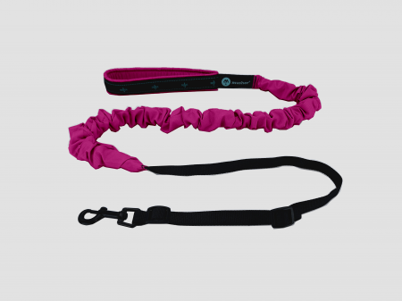 leashes - Musher Freespirit Bungee Leash for Small Dogs - Lightweight & Colorful